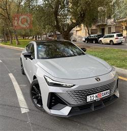 شانجان يوني في